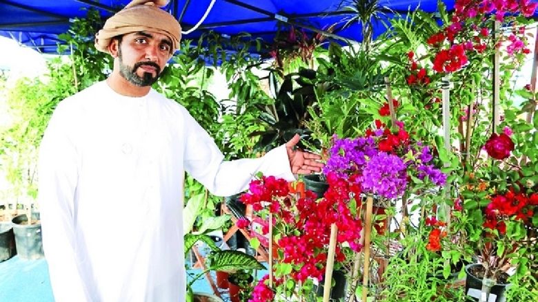 Emirati, gives, away, 4,600 Ghaf seedlings, flowers, UAE National Day,