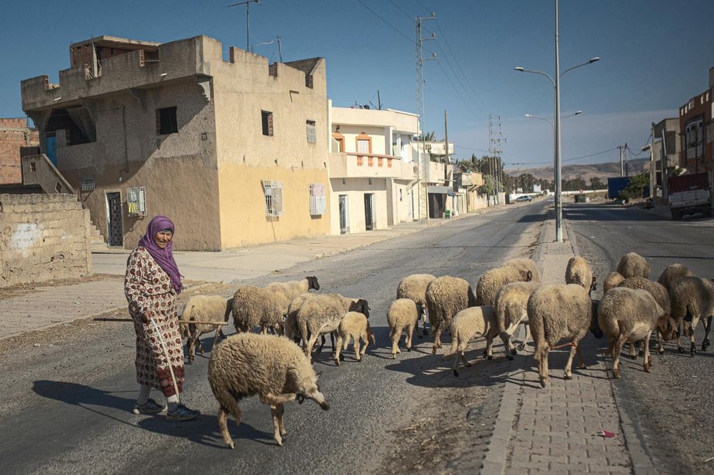 Woman shepherds in the outskirts of Jendouba City. Pau González for The National