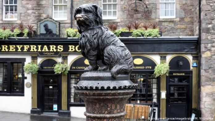 Dog statue, Edinburgh, Scotland, Great Britain, Europe (picture-alliance / imagebroker / M. Nitzschke)