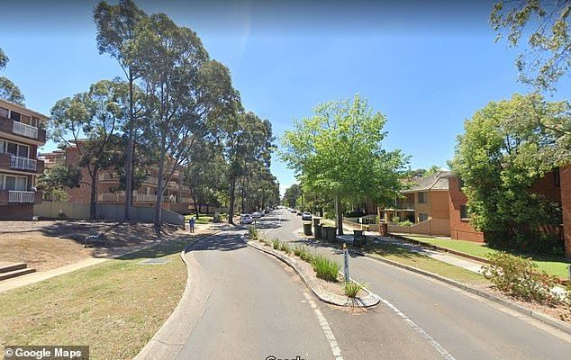 Despite the best efforts of paramedics who visited her home on Lane Street in Wentworthville (pictured), Ms. Hafiz could not be rescued and died on the scene