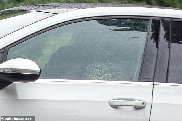 Kiss: The couple enjoyed a passionate hickey in the car before getting out