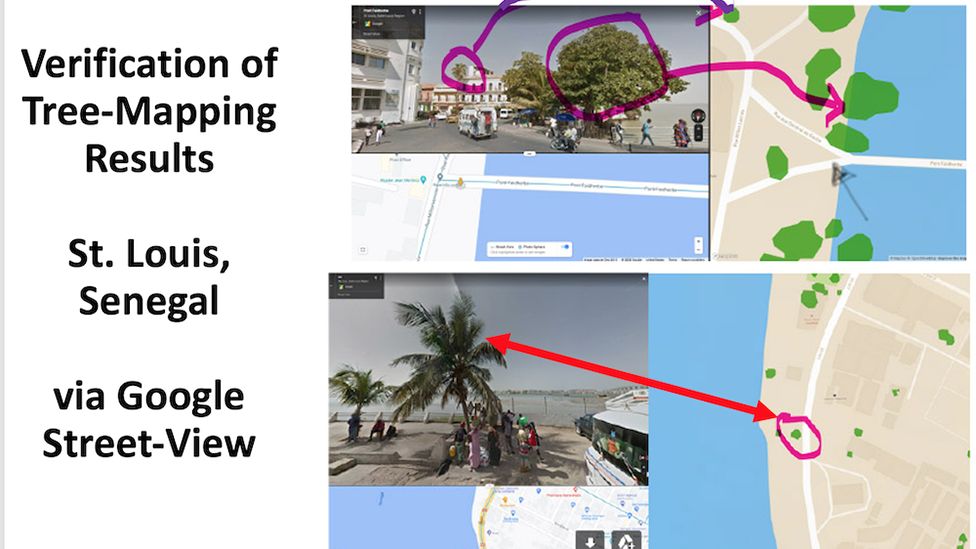 Google Maps images showing the presence of trees