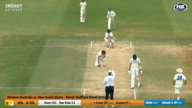 Torment! 197 ... out of the LBW!