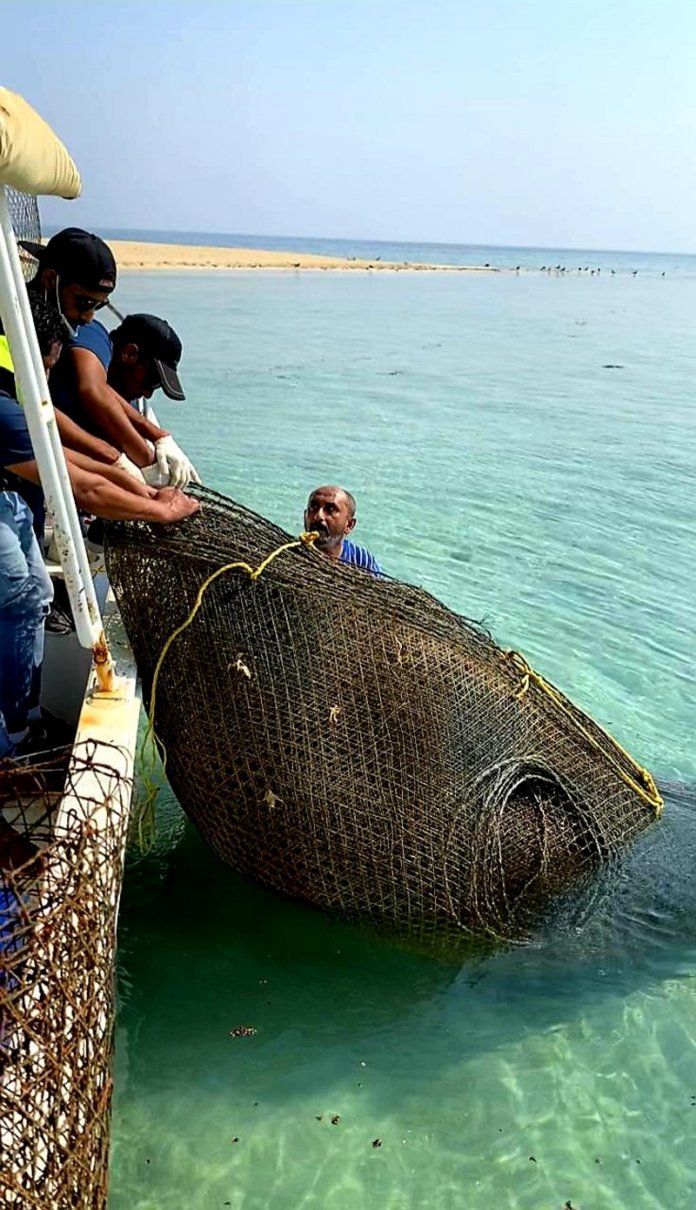 Watch .. 40 illegal fishing gargoyles seized in Al-Qunfudhah