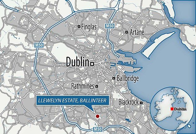 The locator map shows the place where the mother and her two children were found in south Dublin