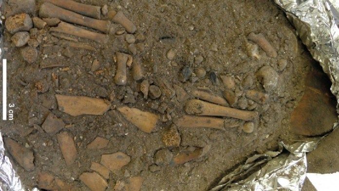 The remains of an 8,000-year-old boy have been discovered whose limbs were removed during mysterious funeral rites