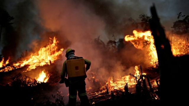 Ibama agent fighting fire in the Amazon