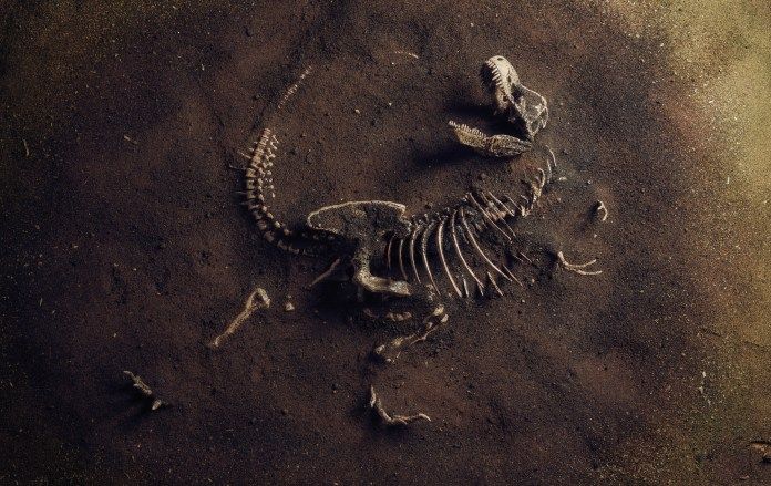 A prehistoric killer ... rebuild the entire brain of a ferocious dinosaur that walked the Earth 233 million years ago