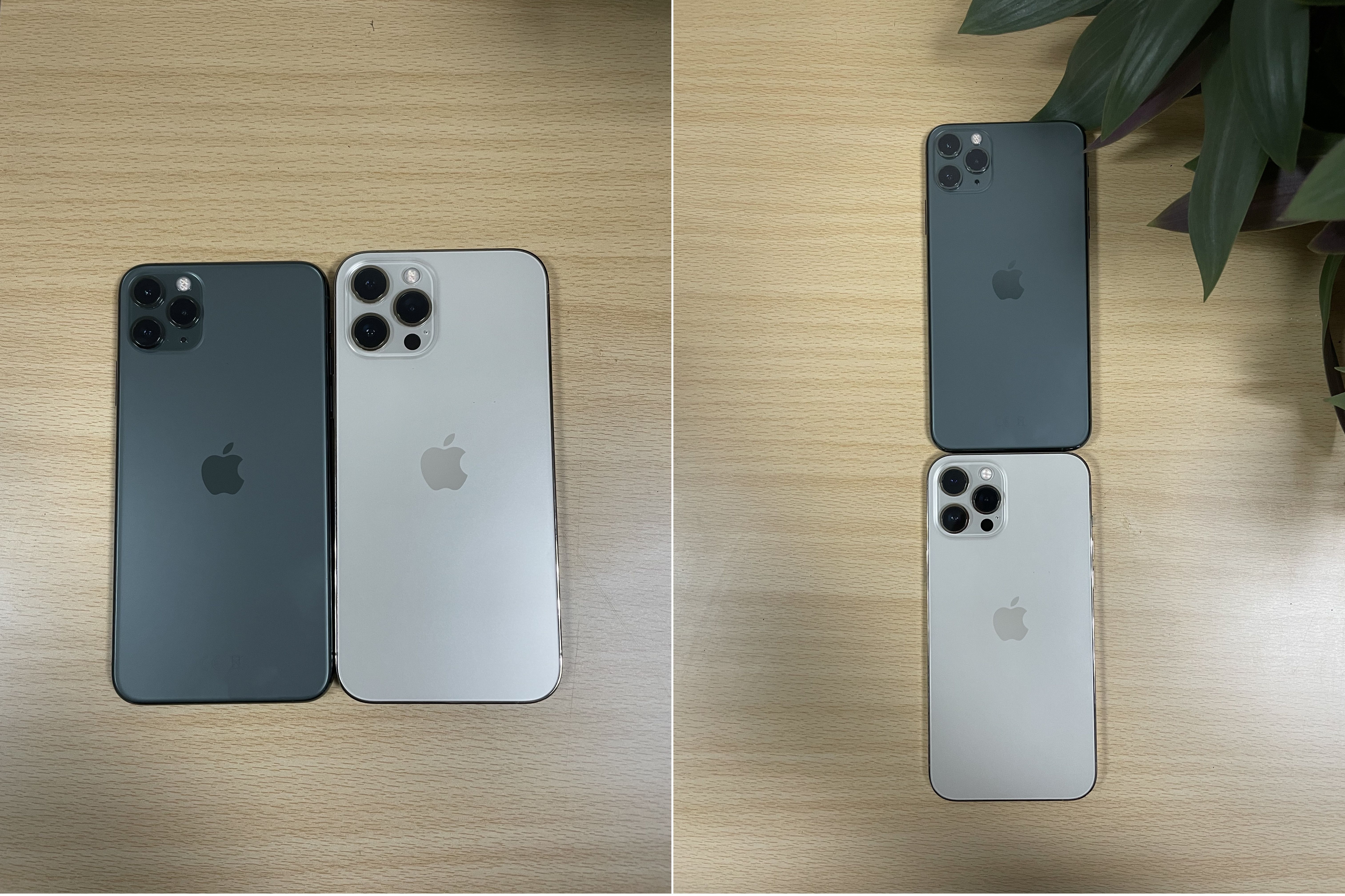 REVIEW: Apple iPhone 12 Pro Max (https://images.alkhaleejtoday.co/assets/jpg/KT26713119.JPG)