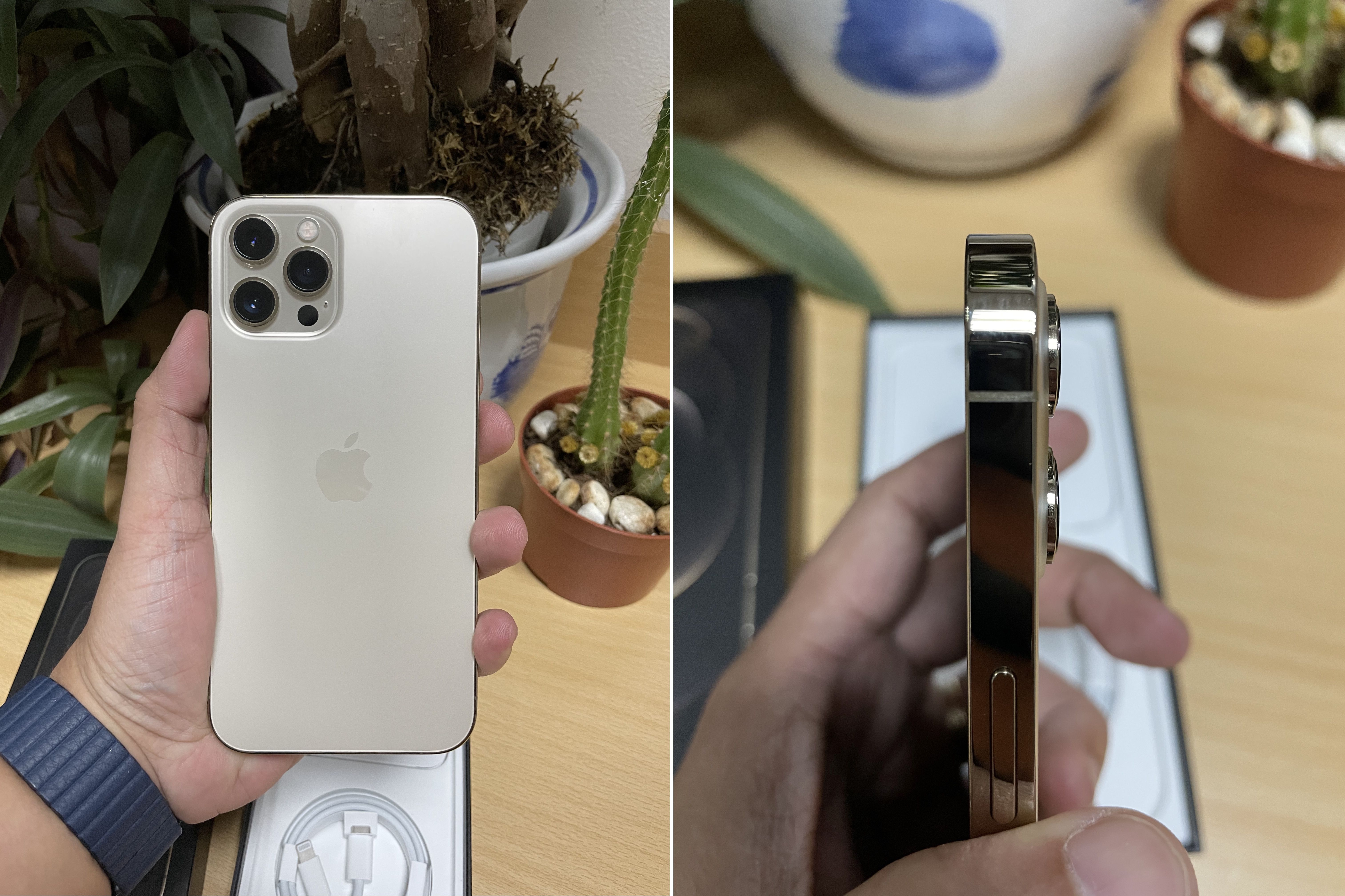 REVIEW: Apple iPhone 12 Pro Max (https://images.alkhaleejtoday.co/assets/jpg/KT26711119.JPG)
