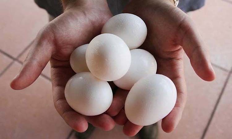 The Price Of An Egg In Pakistan Is 30 Rupees En The Price Of An Egg In Pakistan Is 30 Rupees En