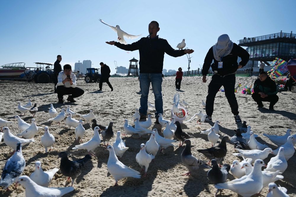 A man feeds his doves on a beach on Pingtan Island, the closest point in China to Taiwan’s main island, in China’s southeast Fujian province, on January 13, 2024, the day of Taiwan’s Presidential election. — AFP pic