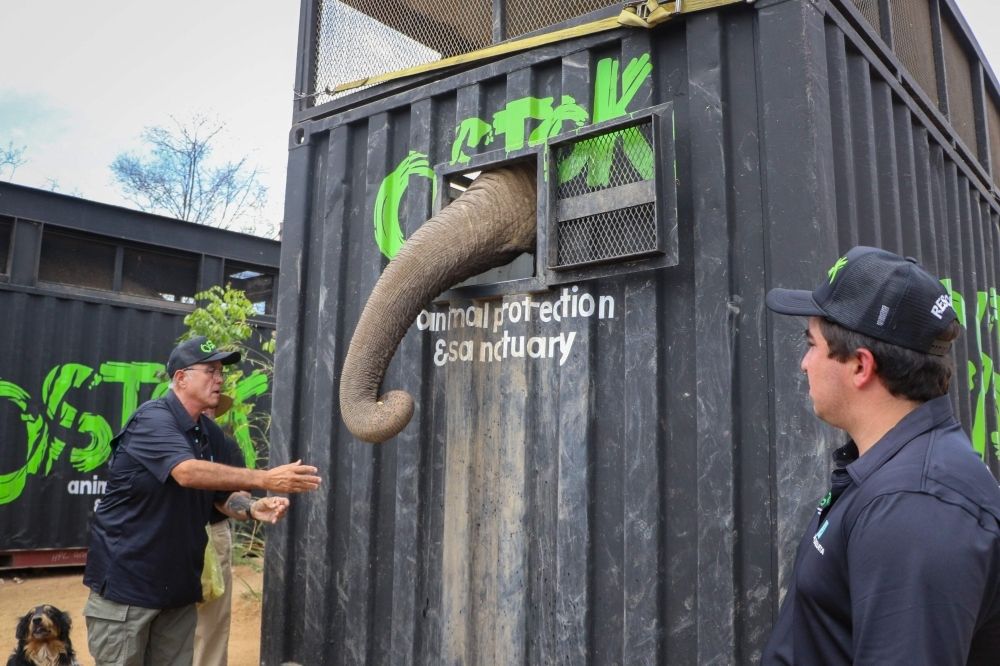 Cartel turf war forces evacuation of some 700 exotic animals in Mexico’s ‘Noah’s Ark’ rescue A keeper feeds an elephant as it is relocated to a ranch on the coast from Culiacan, Sinaloa state, Mexico May 20, 2025. — AFP pic