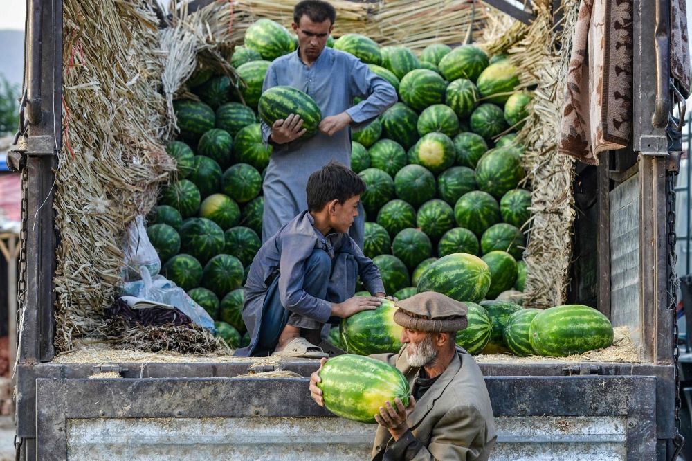 Afghan labourers unload watermelons from a truck at a market in the Fayzabad district of Badakhshan province on June 2, 2025. — AFP pic