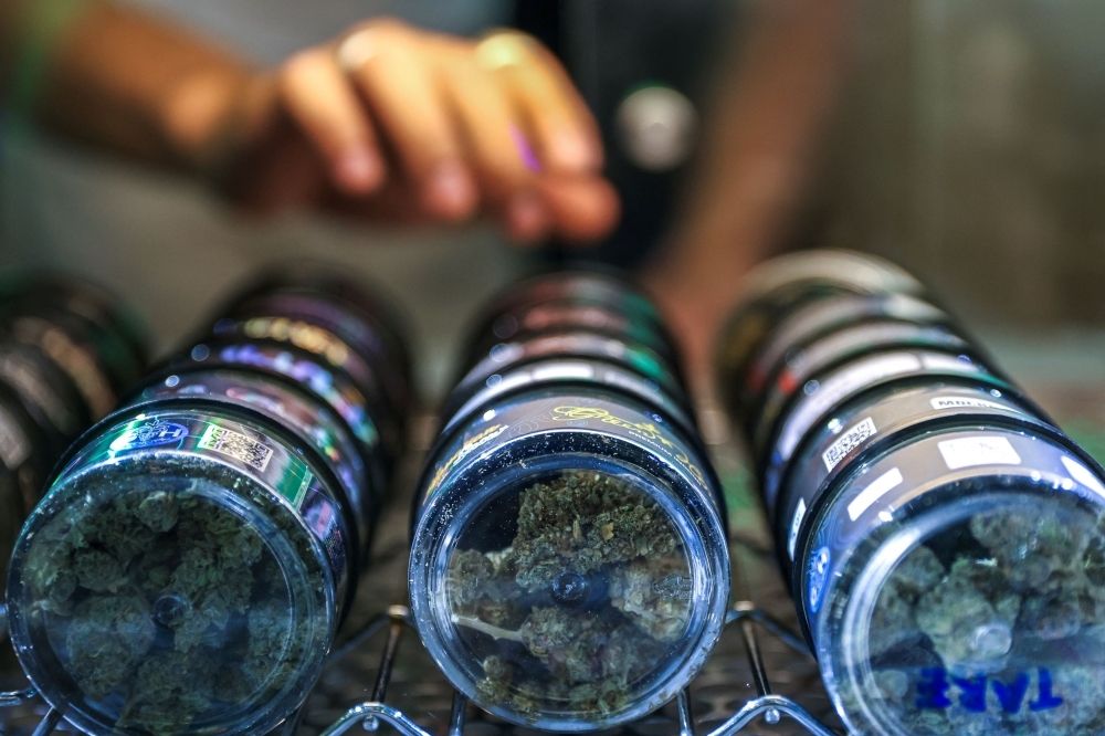 Politics over pot: Thailand moves to recriminalise cannabis, rattling US$1b industry Punnathat Phutthisawong, a staff member at a cannabis shop called ‘Green House Thailand’ arranges cannabis inside his shop on Khaosan Road, one of the favourite tourist spots in Bangkok, Thailand, June 25, 2025. — Reuters pic