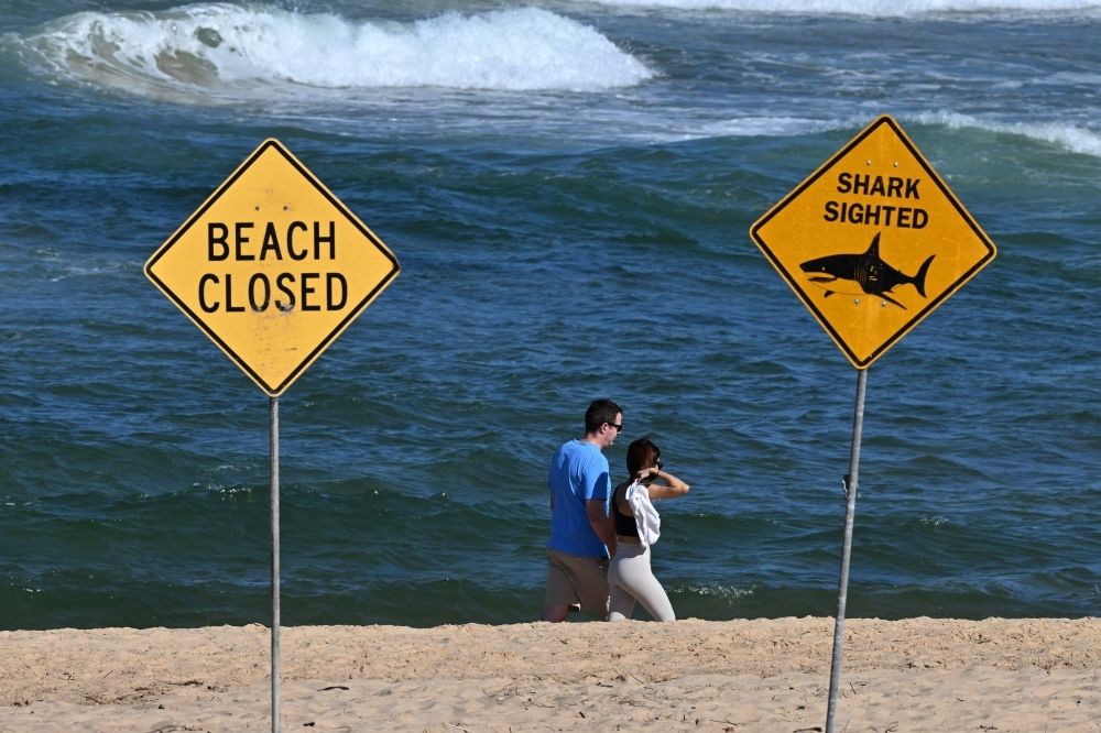 Australian authorities deploy drones, helicopter after surfer killed by great white shark off Sydney beach Visitors walk along the shoreline as northern Sydney beaches remain closed following a suspected shark attack at Long Reef Beach on September 6, 2025. A shark mauled a surfer to death in a rare fatal attack off a Sydney beach on September 6, Australian police and rescuers said, leading to a string of beach closures. — AFP pic