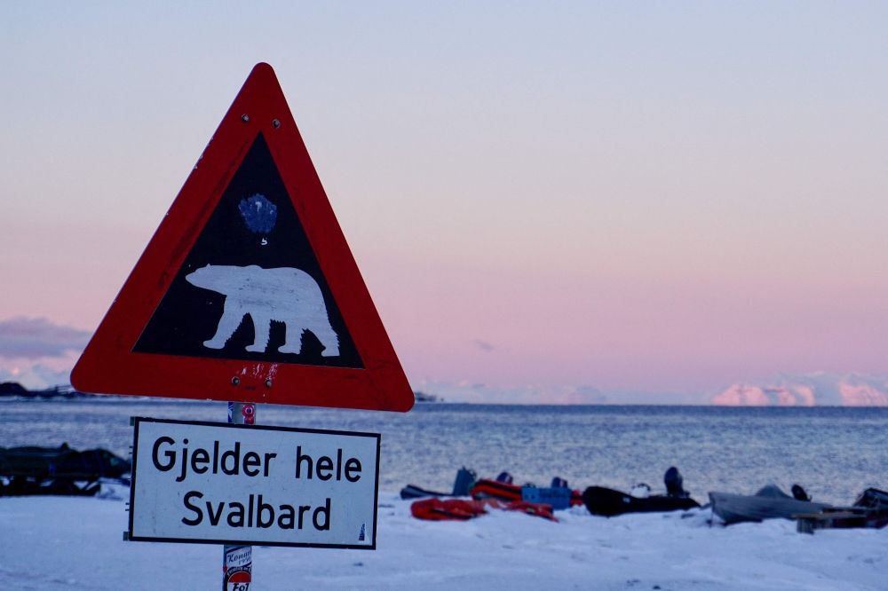 A sign warns of polar bears at the city limits of Longyearbyen on the Norwegian archipelago of Svalbard on February 18, 2026. — AFP pic A sign warns of polar bears at the city limits of Longyearbyen on the Norwegian archipelago of Svalbard on February 18, 2026. — AFP pic