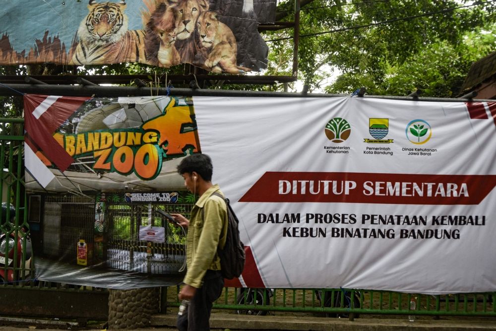 Bandung Zoo in West Java, Indonesia – where two Bengal tiger cubs were born in July 2025 and died in March 2026 of ‘cat plague’ or Feline Panleukopenia virus (FPV) – has been closed for months. — AFP pic Bandung Zoo in West Java, Indonesia – where two Bengal tiger cubs were born in July 2025 and died in March 2026 of ‘cat plague’ or Feline Panleukopenia virus (FPV) – has been closed for months. — AFP pic