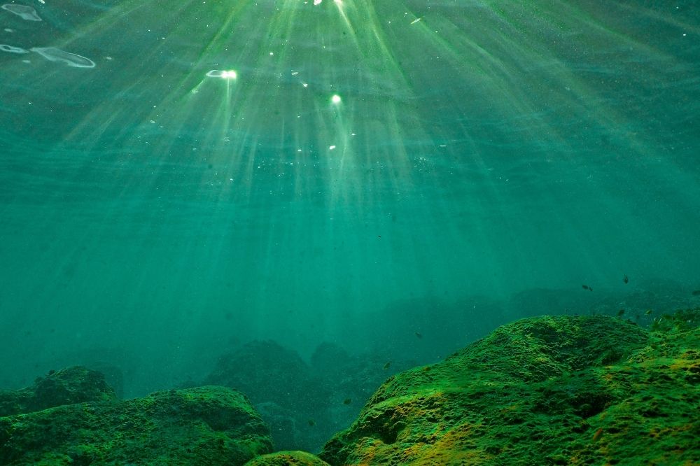 Scientists say the world’s oceans just logged their hottest June on record, with average sea‑surface temperatures hitting 20.98°C. — AFP pic Scientists say the world’s oceans just logged their hottest June on record, with average sea‑surface temperatures hitting 20.98°C. — AFP pic