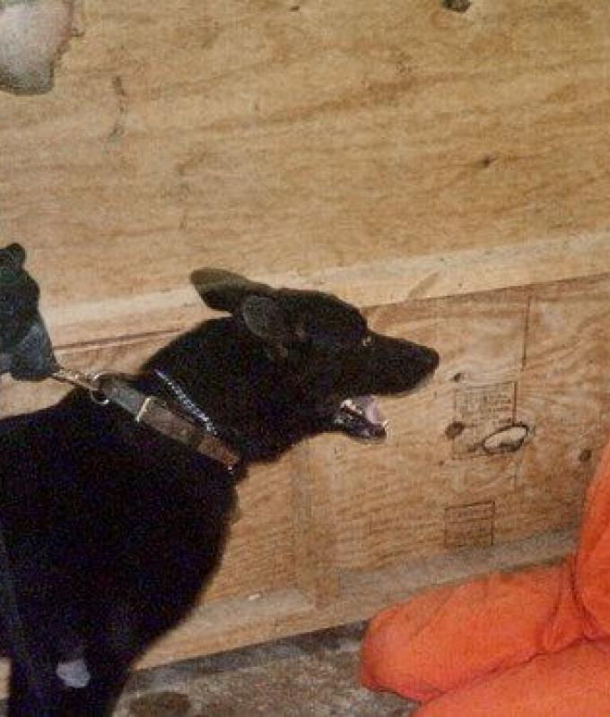 Jury deliberating in Iraq Abu Ghraib prison abuse civil case; contractor casts blame on Army