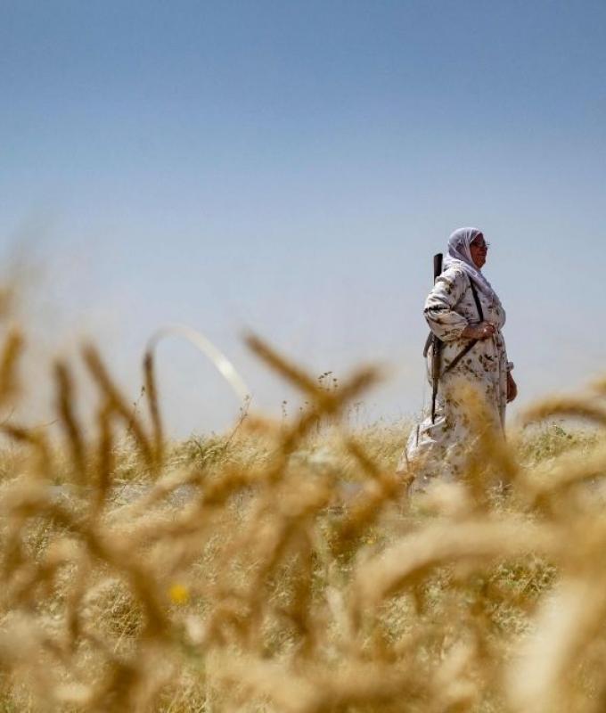 Wheat becomes battleground as Syria’s worst drought in 60 years threatens 16 million