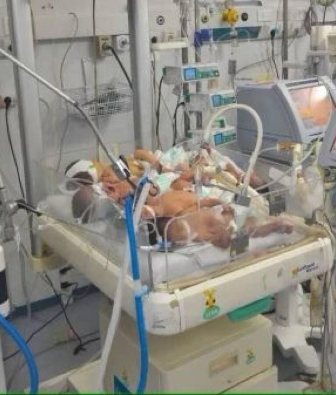 Desperate Gaza doctors cram several babies into one incubator as fuel crisis reaches critical point