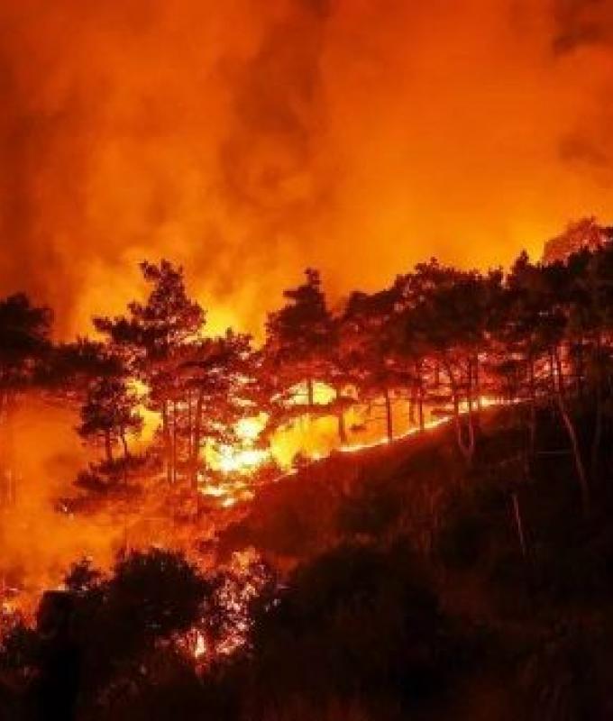 Syria issues appeal to EU for help battling massive wildfires along northwestern coast