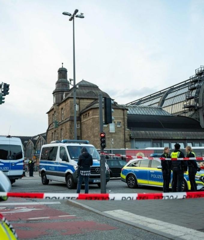 Man dies after kicking train and falling between platform at Hamburg central station