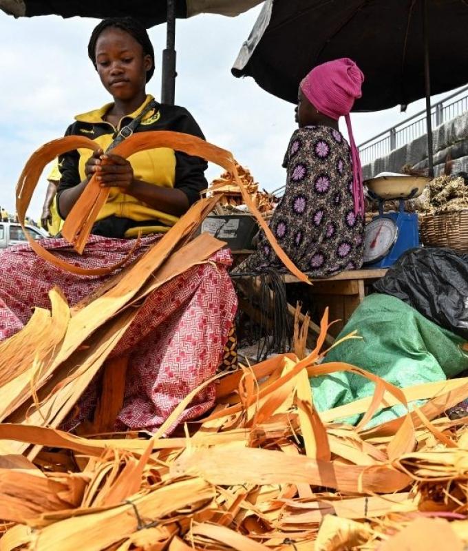 Global health aid plunges to 15-year low as US leads cuts in ‘era of austerity’