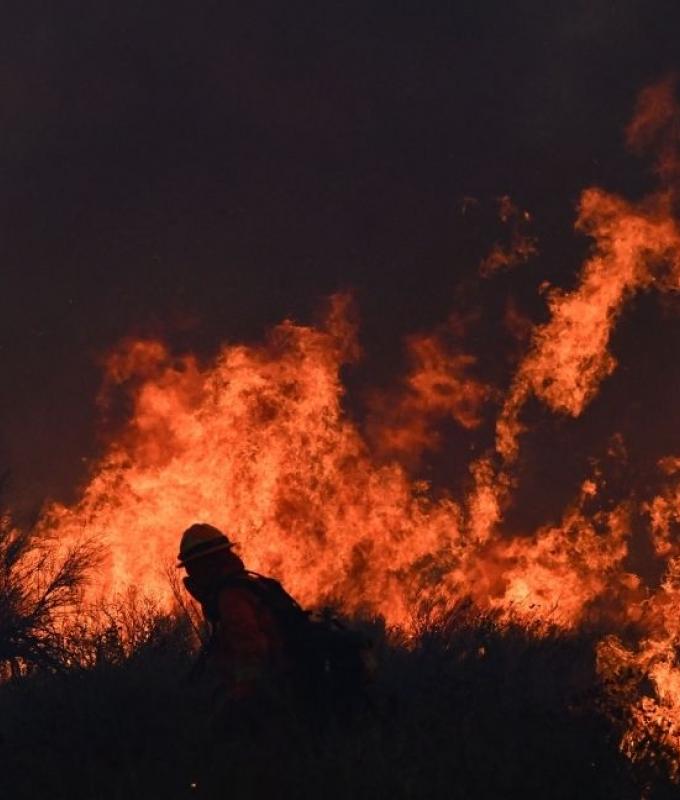‘Bigger, hotter, faster’: Global wildfires drive surge in climate-heating CO2 emissions
