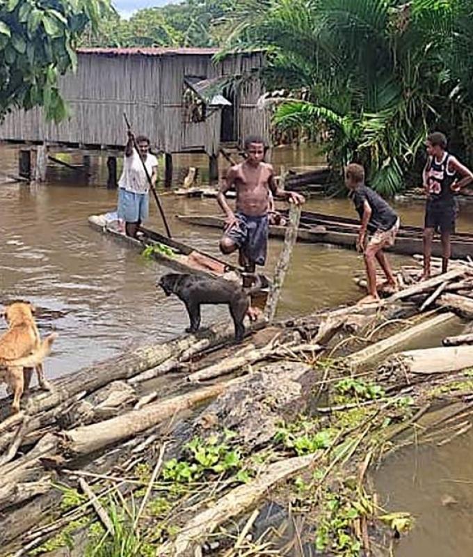 Floods sweep away 15 in Indonesia’s Papua, including 13 children, says local official