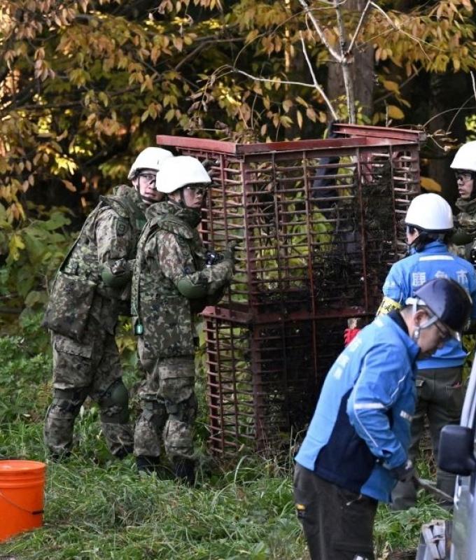 Japan to arm riot police with rifles as bear attacks hit record high