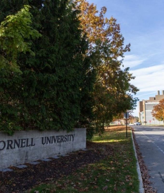 Cornell University pays US$60m to end Trump dispute, regains US$250m in federal funding