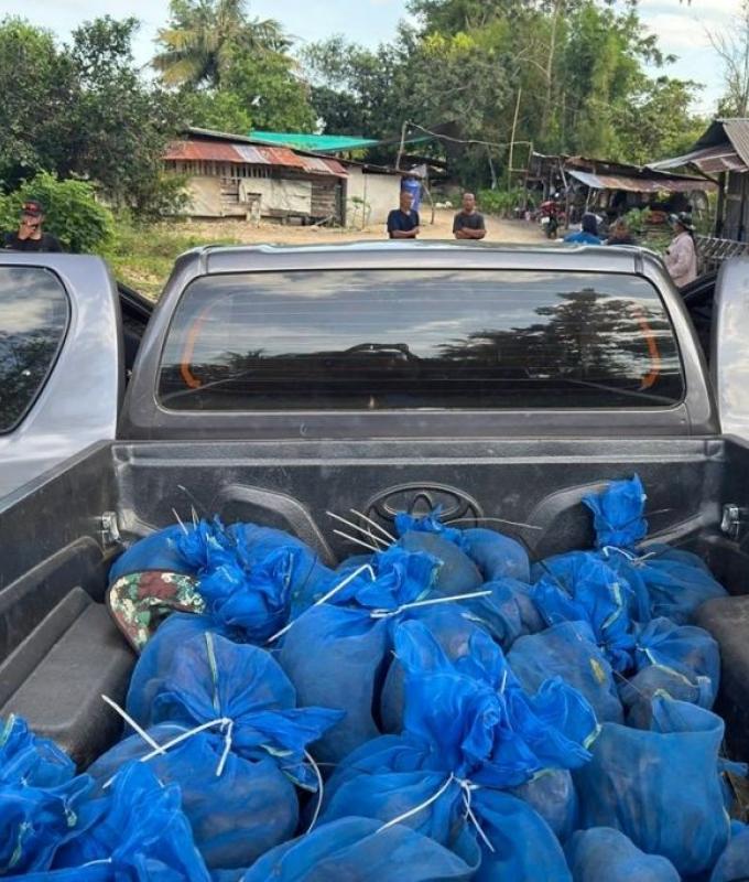 Thai rangers arrest men with 81 macaques, meth near Cambodian border