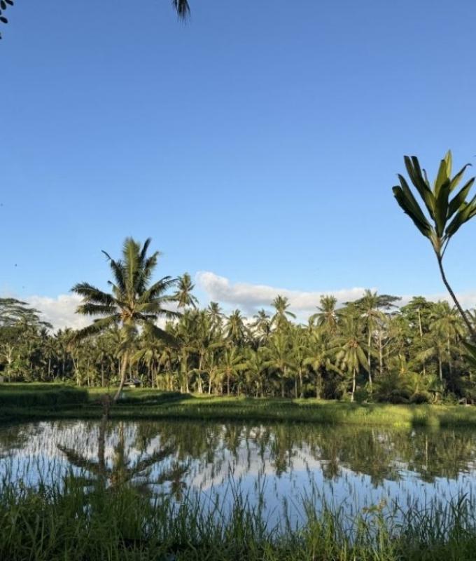 Indonesia doubles down on rice self-sufficiency after 250-tonne illegal shipment