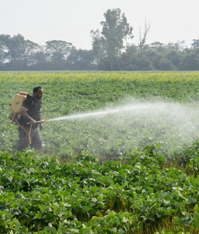 Turkiye media: Insecticide believed behind deaths of tourist family in Istanbul