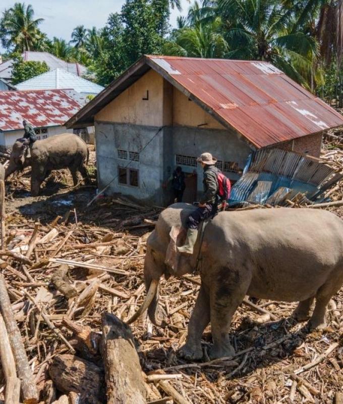 Death toll rises to 950 in Indonesia floods as shortages escalate across Sumatra