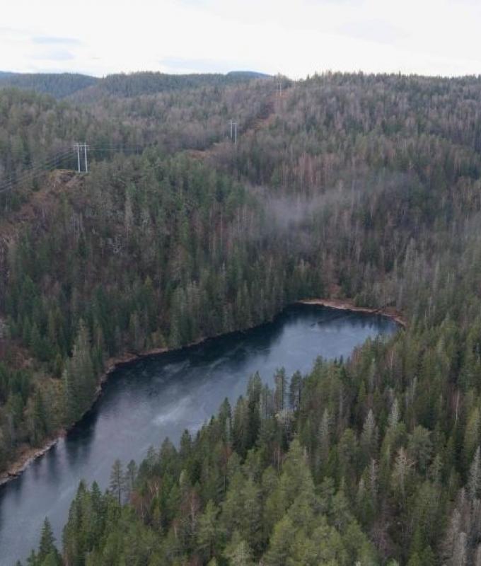 Europe’s biggest rare earth find hits a snag over beetles, moss and mushrooms