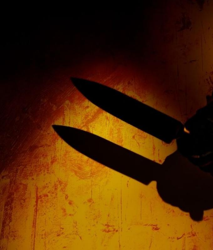 Fourteen injured in stabbing, liquid spray attack at factory in central Japan