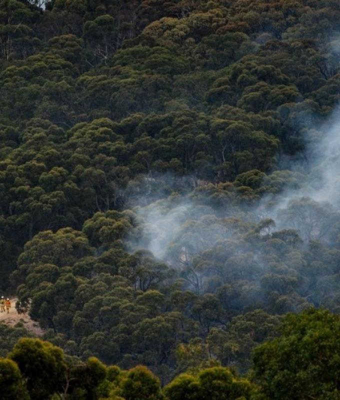 Victoria declares state of disaster as bushfires destroy homes and forests amid heatwave