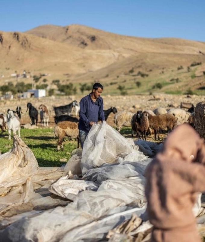 Pastoral colonialism: Israeli settler violence forces West Bank Bedouins off their land
