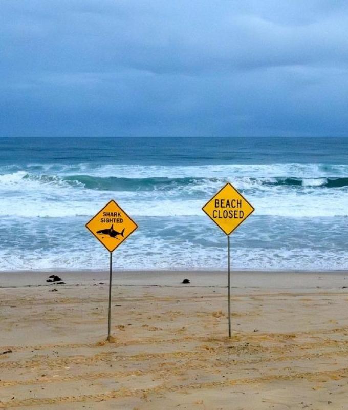 Shark bites surfer in Australian state’s fourth attack in 48 hours