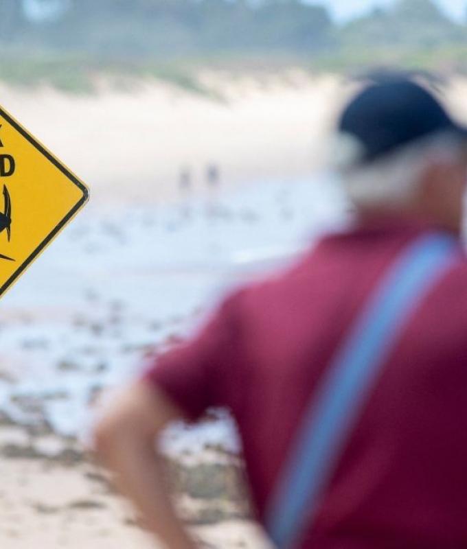 Sydney beaches stay closed after three shark attacks in two days