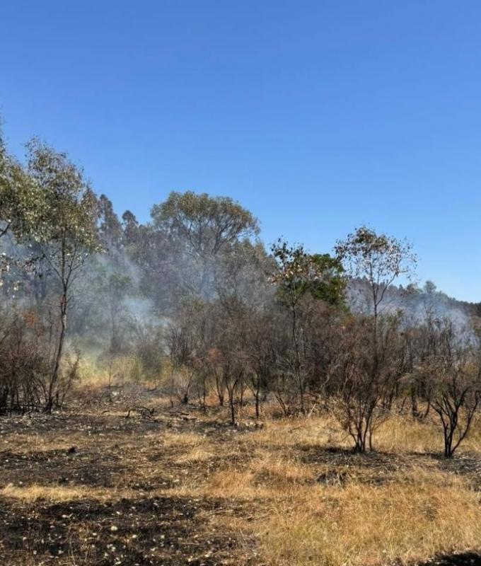 Firefighters order evacuation as heatwave bakes Australia