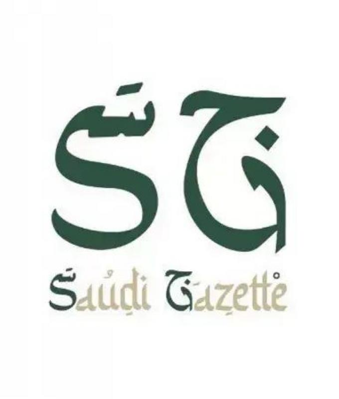 At least 28 killed, 39 wounded in RSF attack on Darfur town