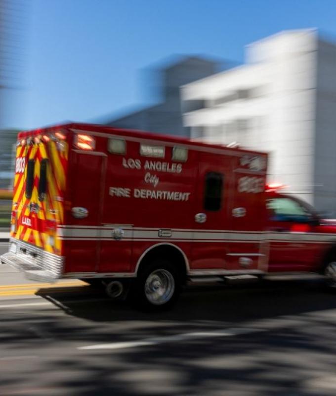 Nearly 700 dogs and cats rescued from overcrowded California shelter in possible US record operation