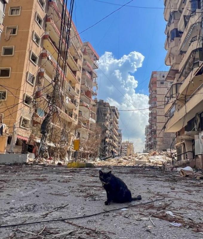 US unpredictability impacts our interests, France army chief says