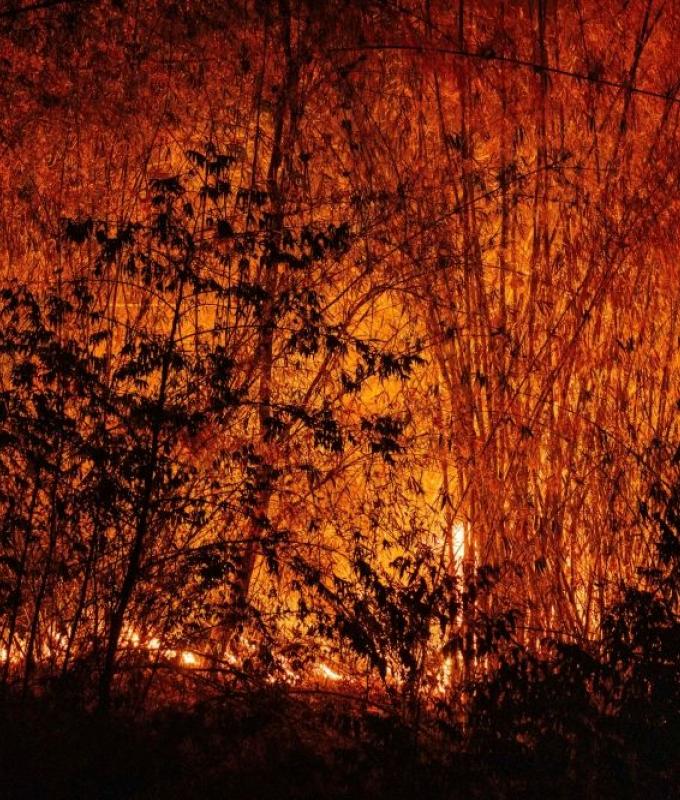 ‘It’s suffocating’: Why Chiang Mai’s air is among the world’s worst right now