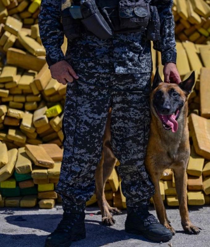‘Hulk’ smashes records: Sniffer dog uncovers Brazil’s largest-ever marijuana seizure at 48 tons