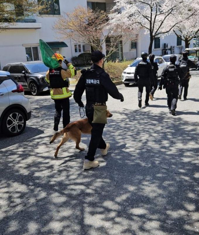 Escaped wolf prompts school closure in South Korea